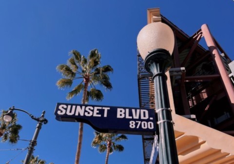 Sunset boulevard