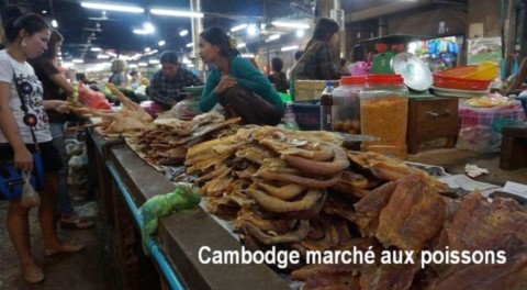 Marché aux poissons couvert de Siem Reap