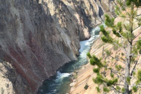 La yellowstone river