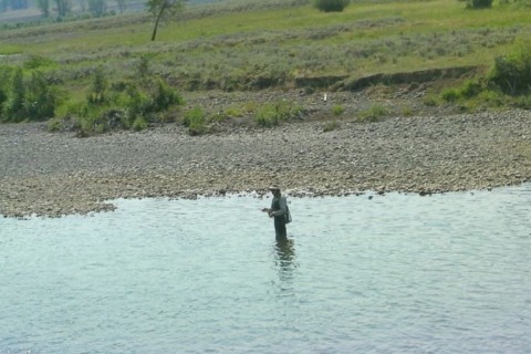 Pêche à la mouche sur la yellowstone river