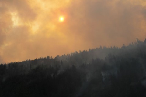 Feux de forêt a Arcata