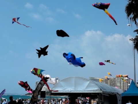 concours mondial des cerf volants