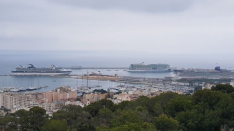 Port de Palma de majorque