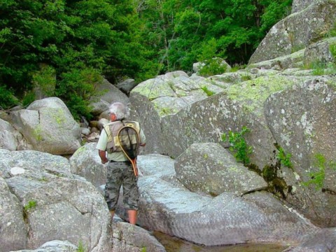 Source du Tarn