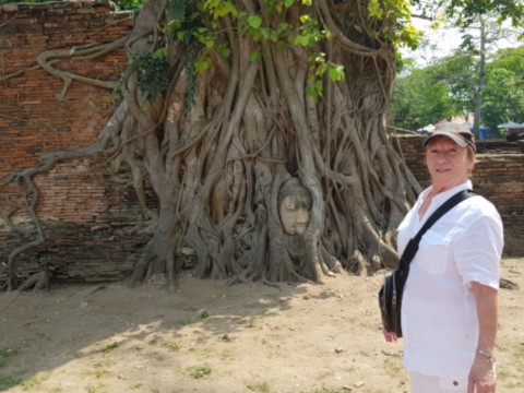 Tête de bouddha enracinée,