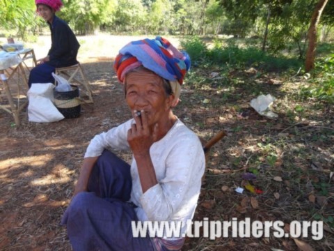Fumeuse birmane de Cheroot