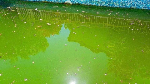 Eau trouble