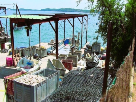 Etang de Diana pour les moules