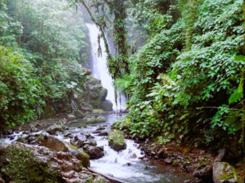 Cascade au centre du pays Cascade au centre du pays