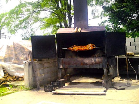 Porcelet en broche en bord de route