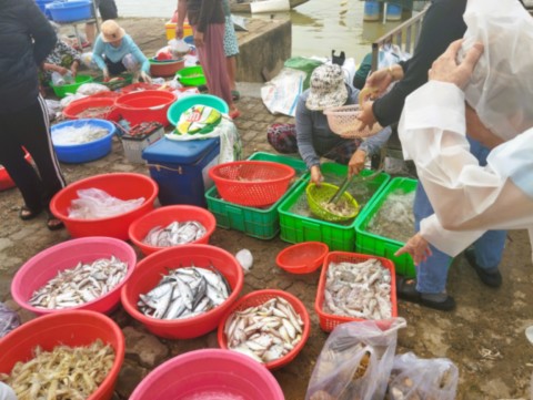 Criée aux poissons sauvages