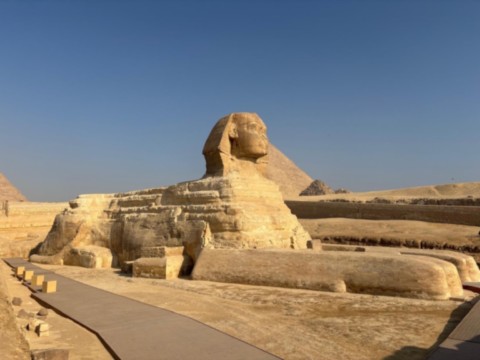 Le sphinx