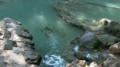 Bassin étage 4
