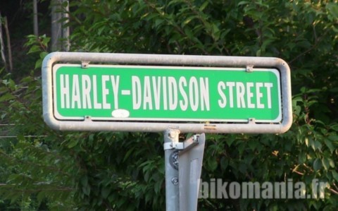 Avenue Harley Davidson 