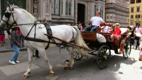 caleche a cheval a Florence centre
