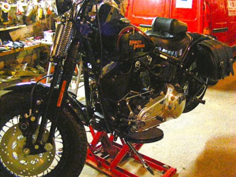 Cross Bones en hivernation