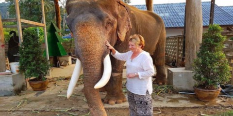 Danger s'il tourne la tête