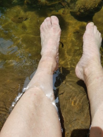 Un spa fish efficace