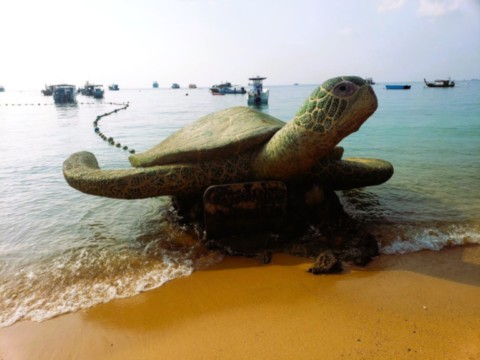 La tortue qui donne les marées