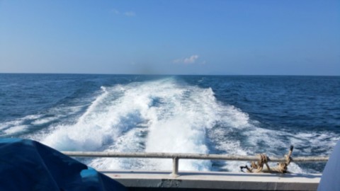 Catamaran en action
