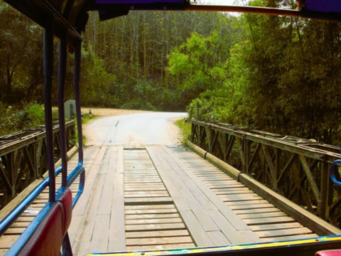 Tuk Tuk type thaï