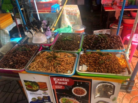 Insectes à la vente dans le marché de la ville