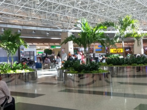 Aeroport de Miami, locacrion des voitures