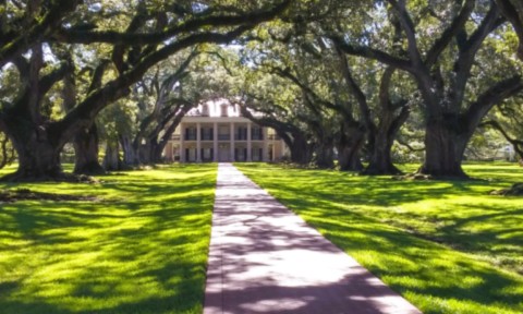 Plantation Oak Alley