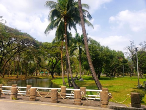 Espaces vert au centre du park