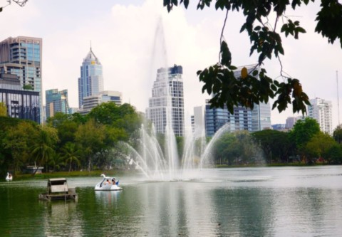 Activités du parc et son lac
