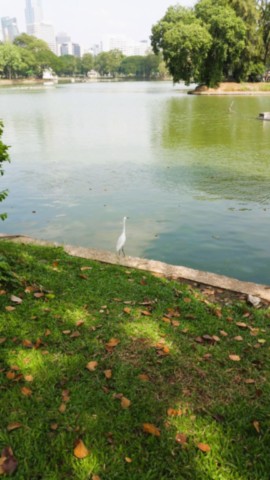Vue d'ensemble du Parc