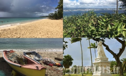 Potos groupées pour comprendre l'île.