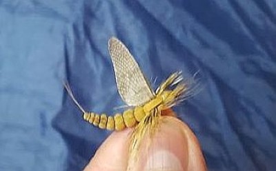 Mouche de mai artificielle