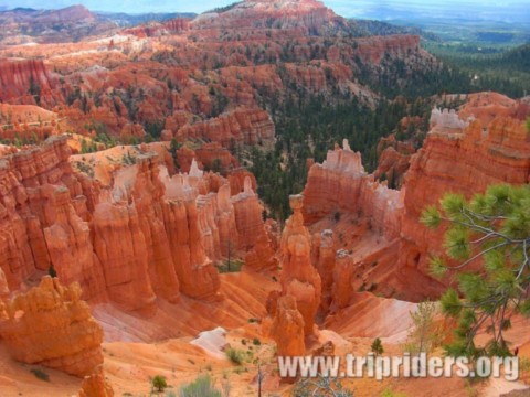 Bryce canyon