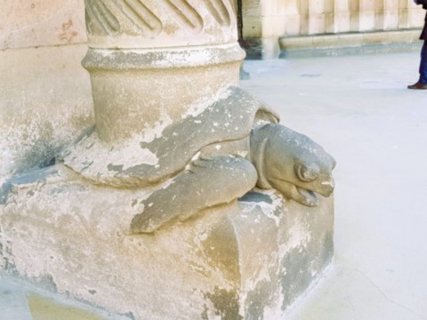 Façade magique avec tortue