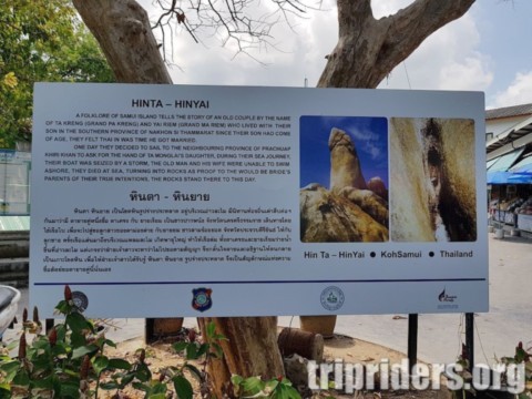 grandfather,grand mother