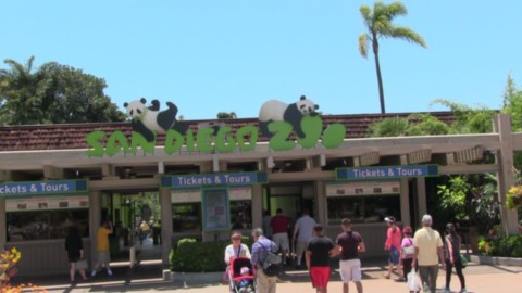 Le zoo de la ville