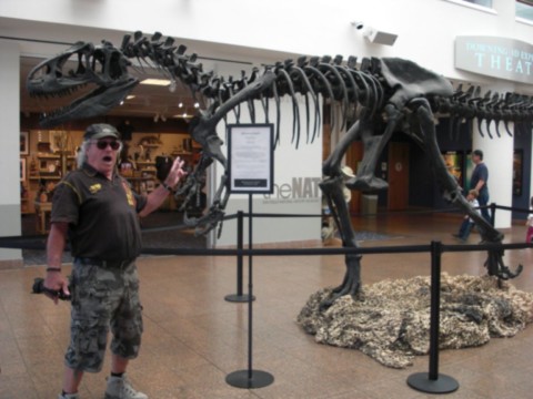Ossement de Dinosaure