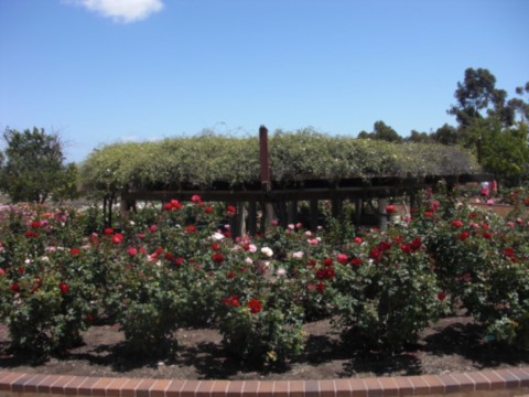 Roseraie