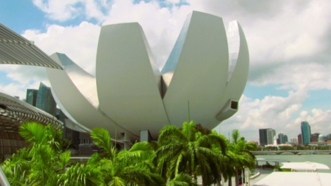 Musée arts et sciences