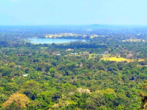 Une vue totale prise au sommet du rocher du lion,