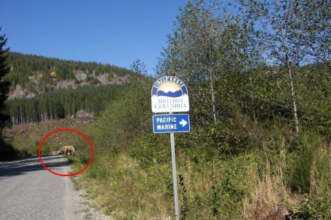 La circle road