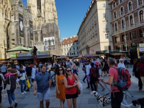 Stephansplatz rue centrale de Vienne