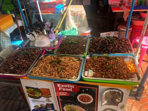 Ventes d'insectes au marché de nuit