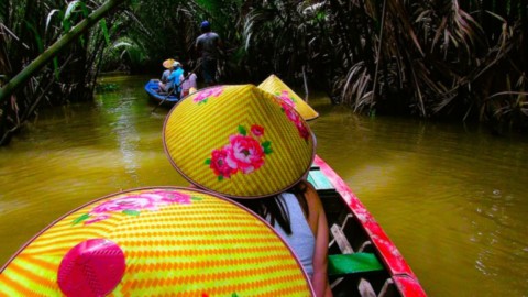 Visite en barque des mangroves