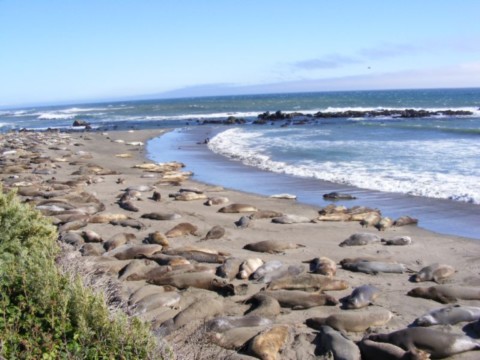 Pacific coast highway 33