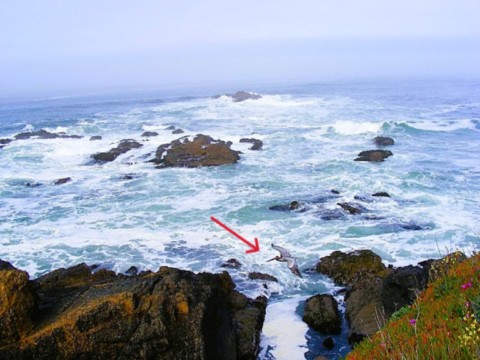 Pacific coast highway 1