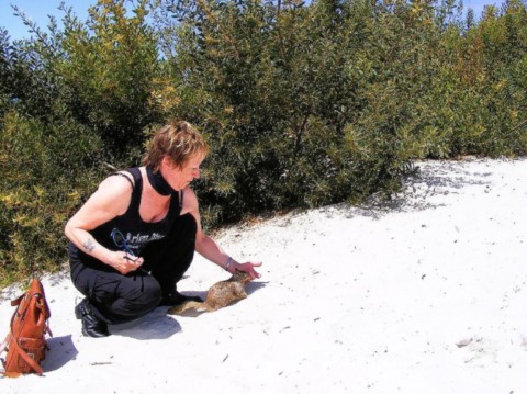 Pacific coast highway 5