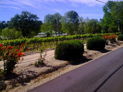 Pacific coast highway 4