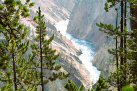 Vu de la rivière Yellowstone